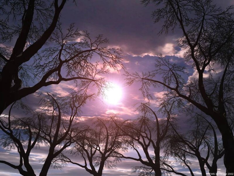 Silhouetted Trees at Sunset — Purple, Dramatic, Digital Art, Sun, Clouds