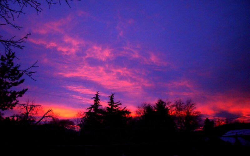 Silhouetted Trees at Sunset — Purple, Dramatic, Photograph, Clouds, Power Lines