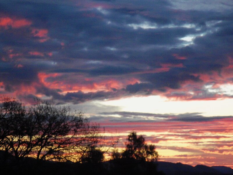 Silhouetted Trees at Sunset — Purple, Dramatic, Photograph, Clouds