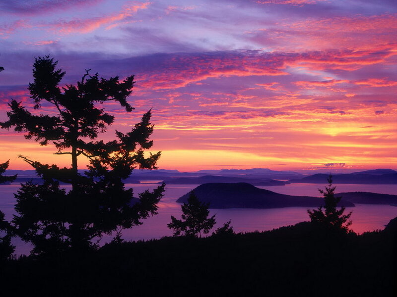 Silhouetted Trees at Sunset — Purple, Dramatic, Photograph, Island