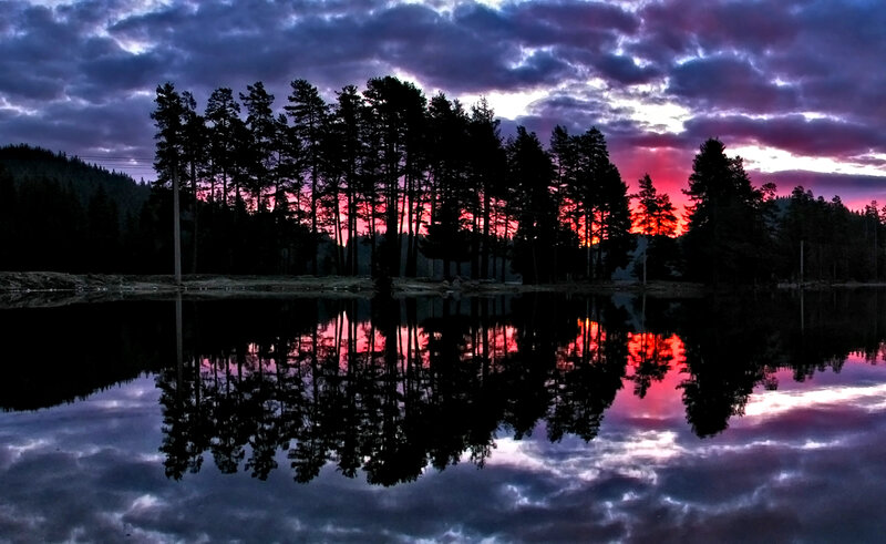 Silhouetted Trees at Sunset — Purple, Dramatic, Photograph, Lake