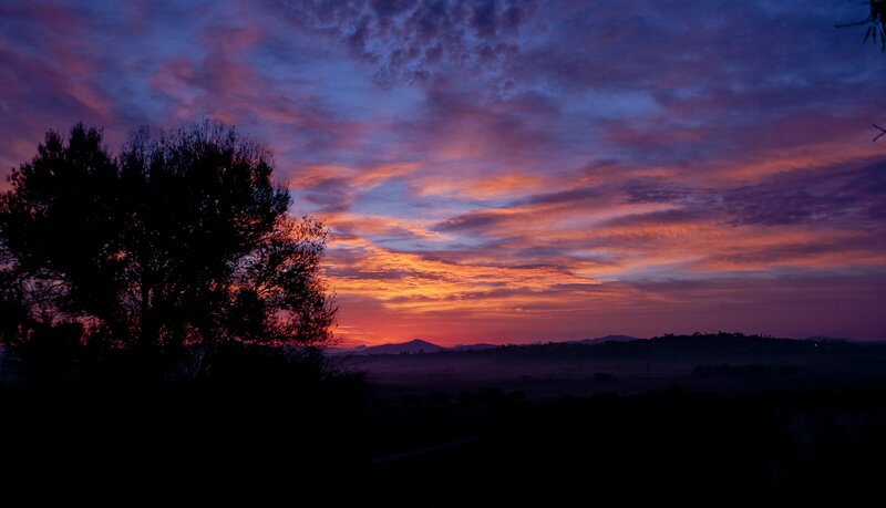 Silhouetted Trees at Sunset — Purple, Dramatic, Photograph, Mountains, Clouds