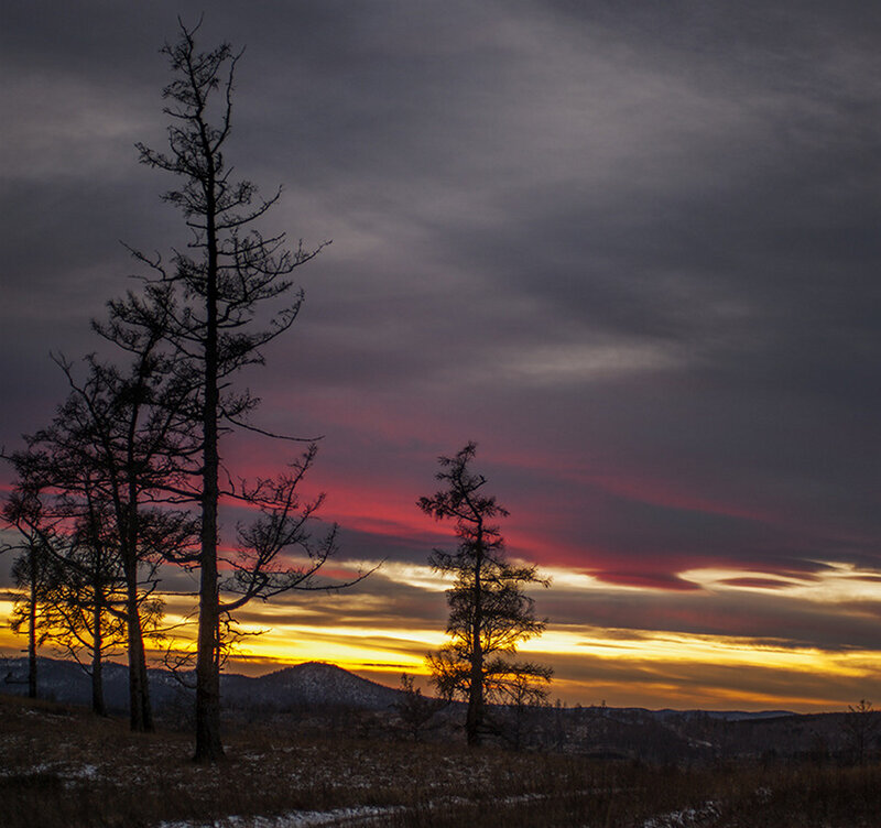 Silhouetted Trees at Sunset — Purple, Dramatic, Photograph, Mountains