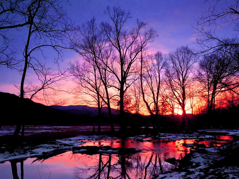 Silhouetted Trees at Sunset — Purple, Dramatic, Photograph, River, Mountains