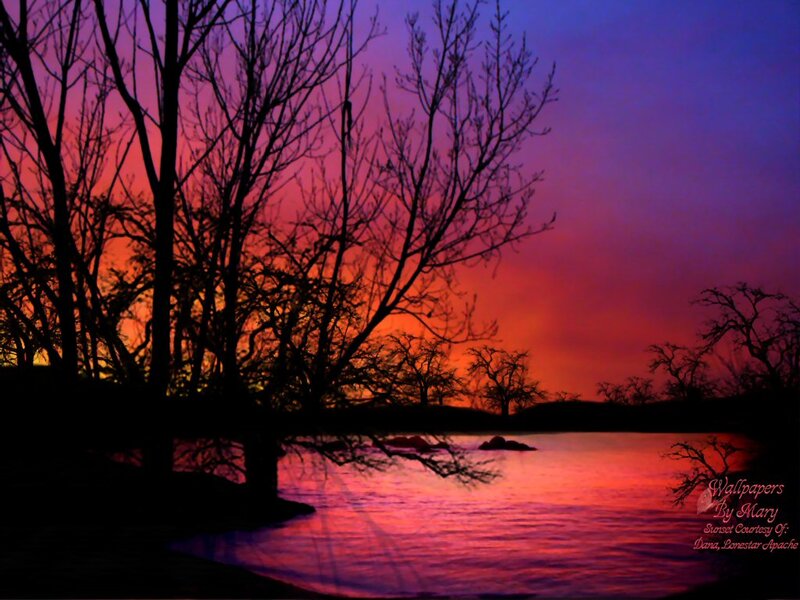 Silhouetted Trees at Sunset — Purple, Dramatic, Photograph, River