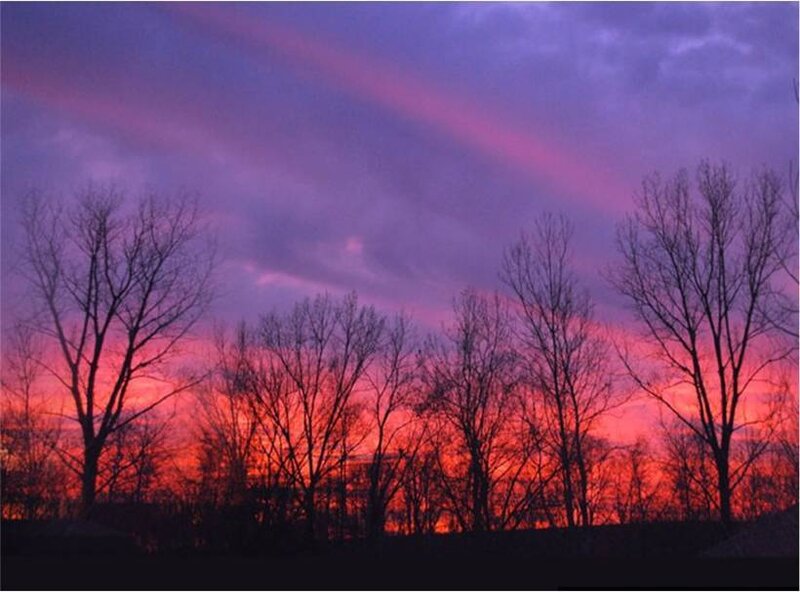 Silhouetted Trees at Sunset — Purple, Dramatic, Photograph, Sky, Clouds, Red