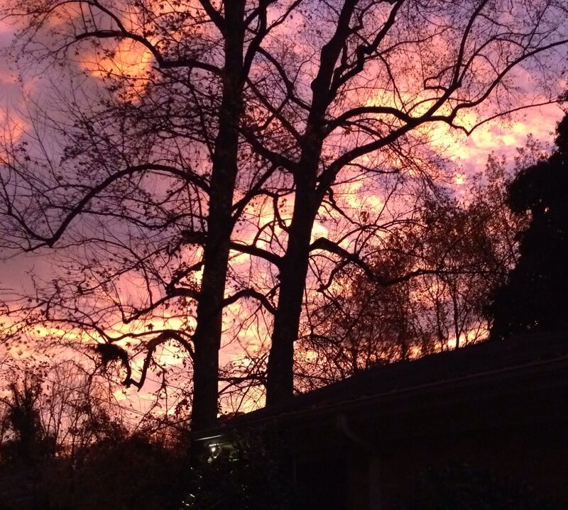 Silhouetted Trees at Sunset — Purple, Dramatic, Photograph, Sky, Clouds, Roof