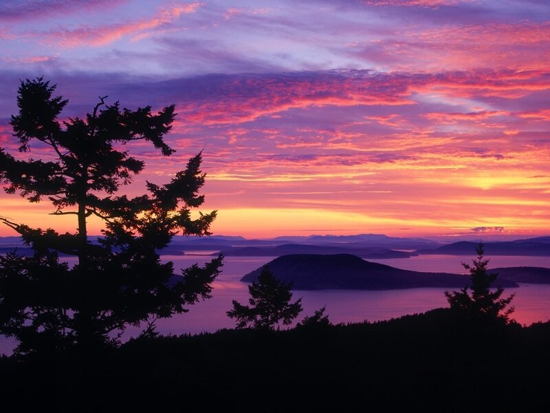Silhouetted Trees at Sunset — Purple, Dramatic, Photograph, Sky, Island