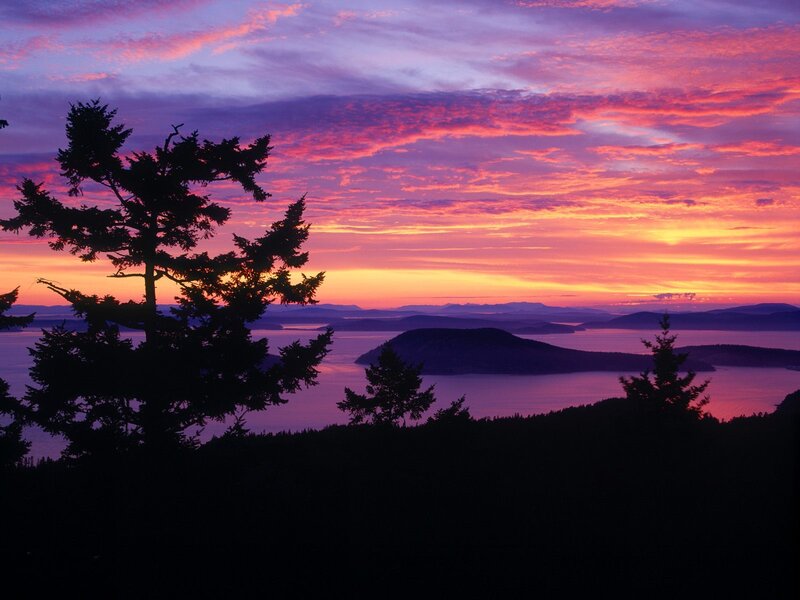 Silhouetted Trees at Sunset — Purple, Dramatic, Photograph, Sky, Islands