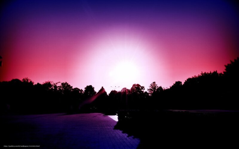 Silhouetted Trees at Sunset — Purple, Dramatic, Photograph, Sky, Path