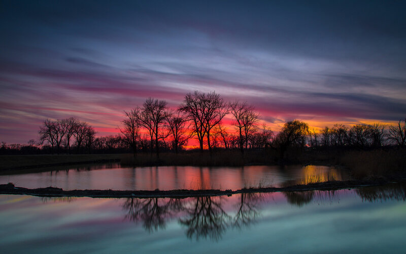 Silhouetted Trees at Sunset — Purple, Dramatic, Photograph, Sky, Pond