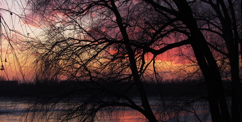 Silhouetted Trees at Sunset — Purple, Dramatic, Photograph, Sky, River