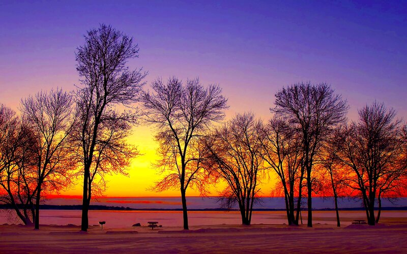 Silhouetted Trees at Sunset — Purple, Dramatic, Photograph, Sky, Snow