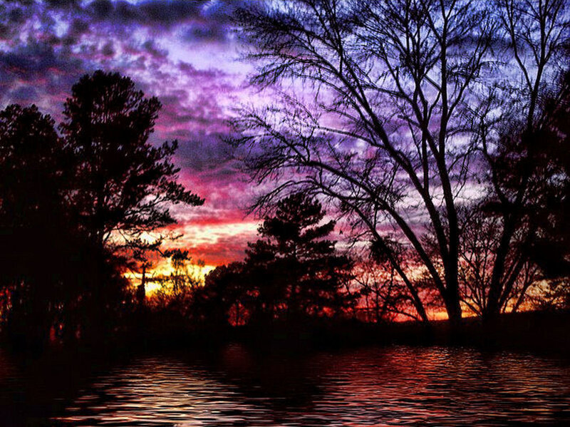 Silhouetted Trees at Sunset — Purple, Dramatic, Photograph, Sky, Water