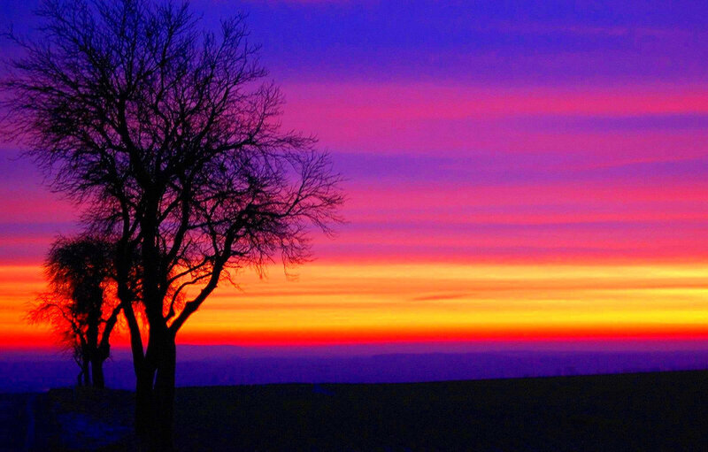 Silhouetted Trees at Sunset — Purple, Dramatic