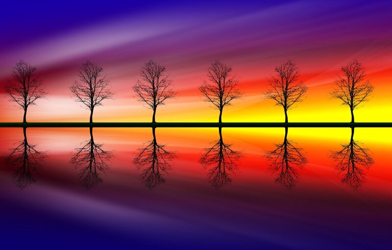Silhouetted Trees at Sunset — Purple, Serene, Digital Art, Reflection