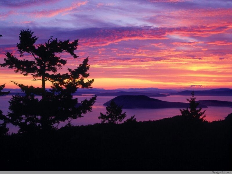 Silhouetted Trees at Sunset — Purple, Serene, Photograph, Island