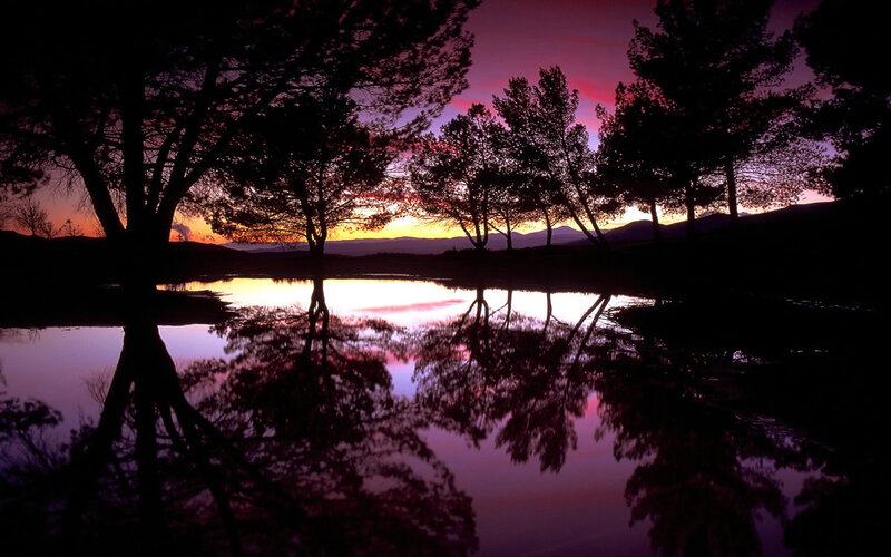 Silhouetted Trees at Sunset — Purple, Serene, Photograph, Lake, Mountains, Sky