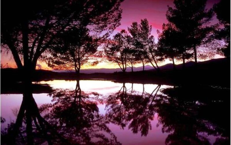 Silhouetted Trees at Sunset — Purple, Serene, Photograph, Lake, Mountains