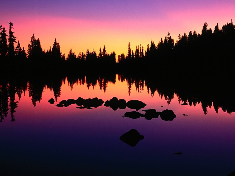 Silhouetted Trees at Sunset — Purple, Serene, Photograph, Lake, Rocks