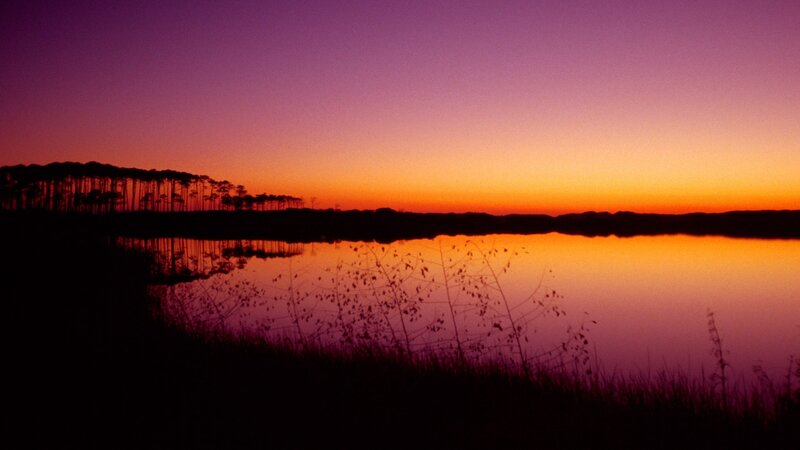 Silhouetted Trees at Sunset — Purple, Serene, Photograph, Lake, Sky, Orange