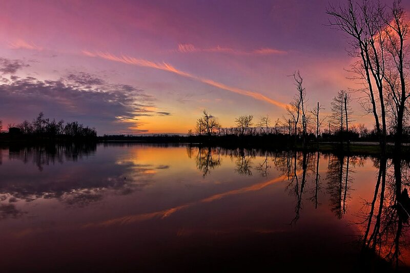 Silhouetted Trees at Sunset — Purple, Serene, Photograph, Lake, Sky