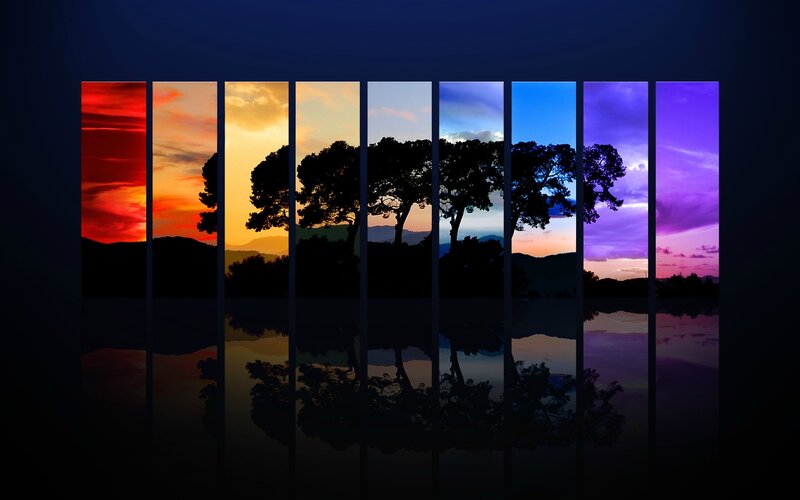 Silhouetted Trees at Sunset — Purple, Serene, Photograph, Mountains, Reflection