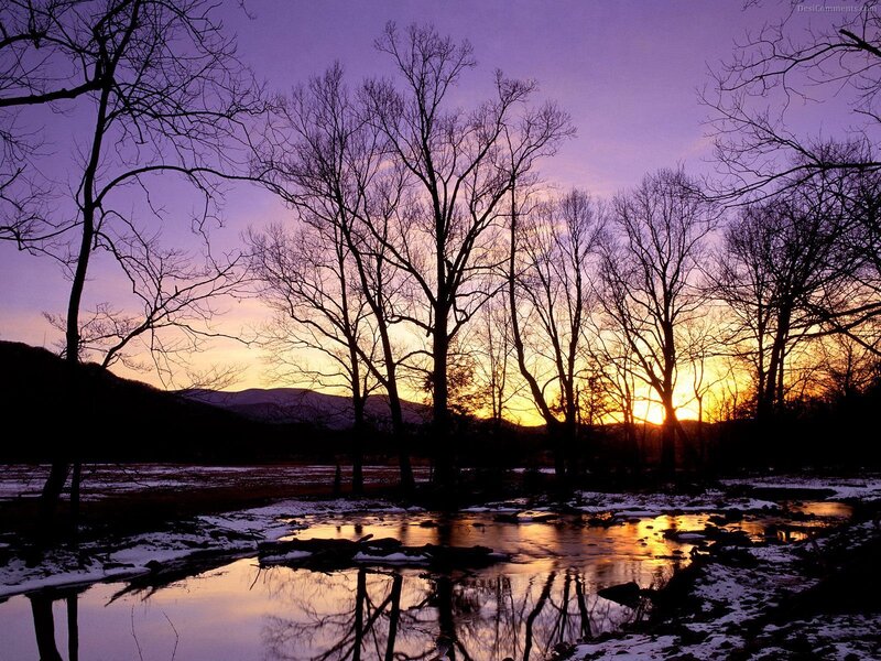 Silhouetted Trees at Sunset — Purple, Serene, Photograph, River, Mountains, Snow