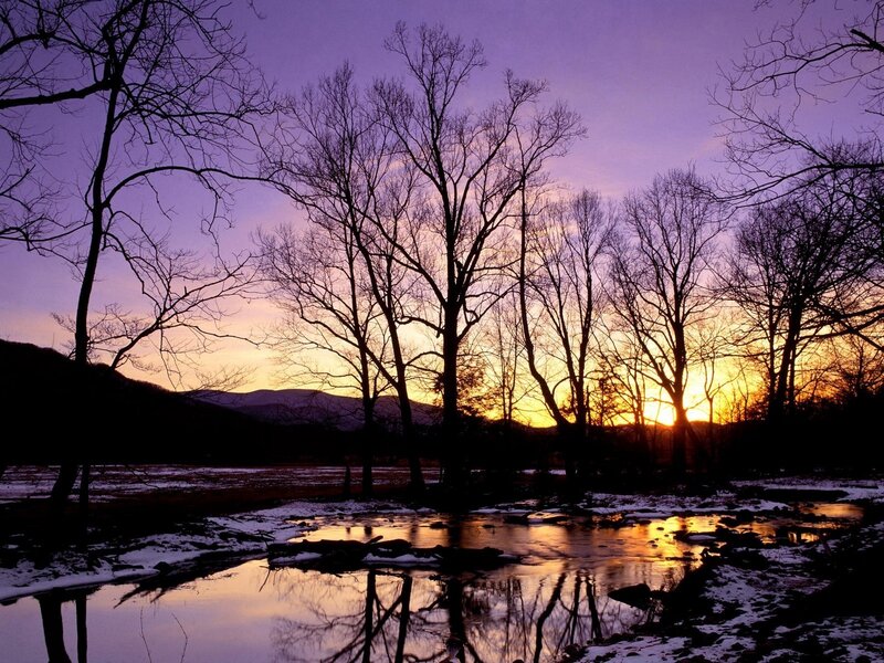 Silhouetted Trees at Sunset — Purple, Serene, Photograph, River