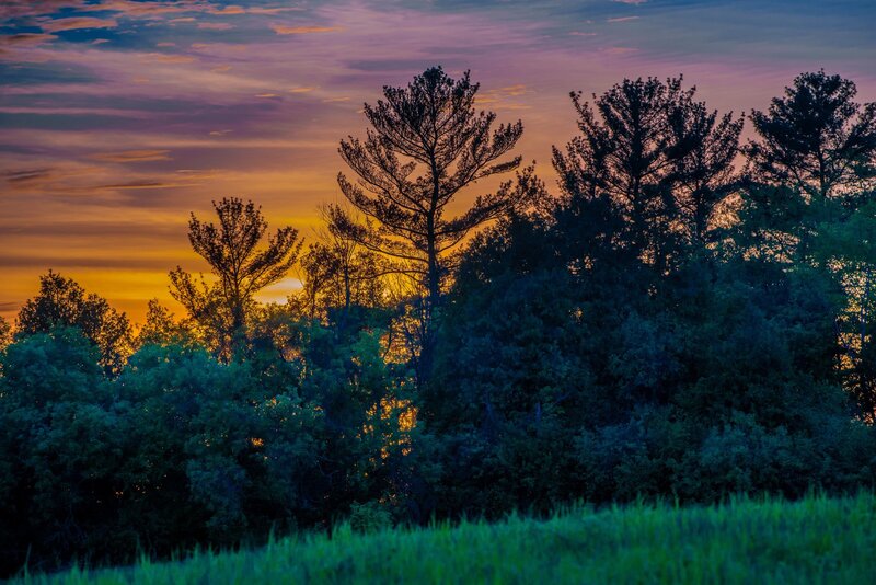 Silhouetted Trees at Sunset — Purple, Serene, Photograph, Sky, Grass, Orange