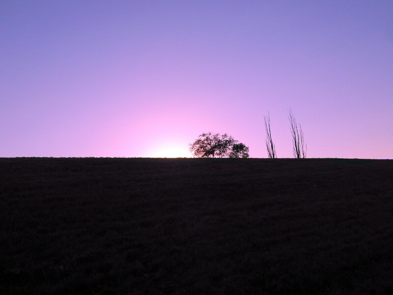 Silhouetted Trees at Sunset — Purple, Serene, Photograph, Sky, Hill