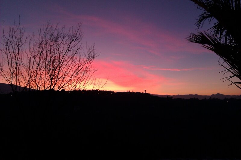Silhouetted Trees at Sunset — Purple, Serene, Photograph, Sky, Mountains, Pink