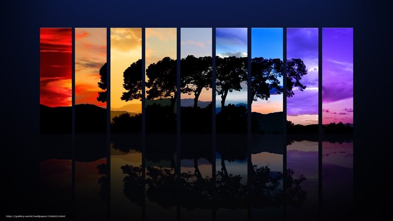 Silhouetted Trees at Sunset — Purple, Serene, Photograph, Sky, Mountains