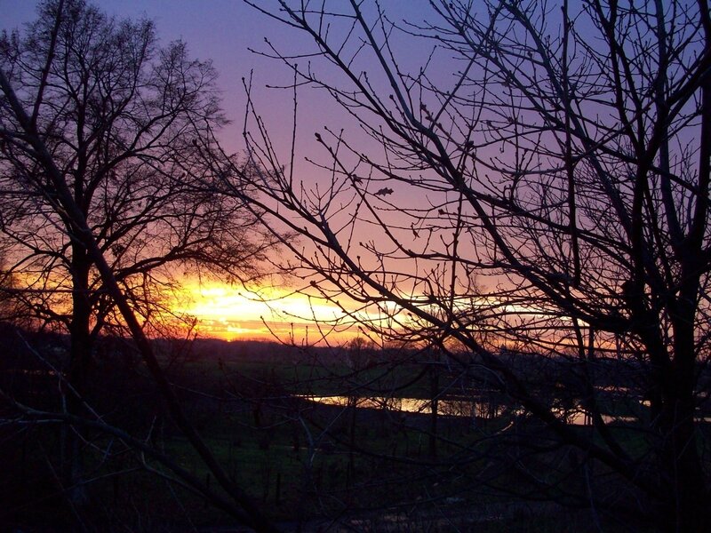 Silhouetted Trees at Sunset — Purple, Serene, Photograph, Sky, River, Orange