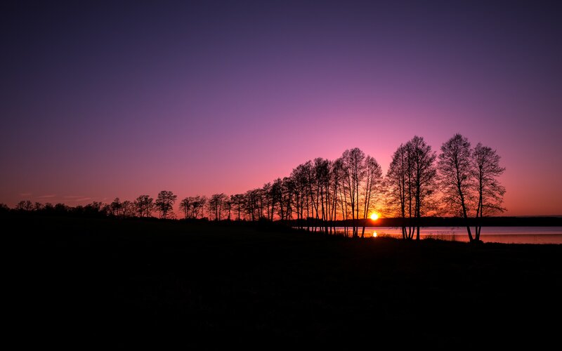 Silhouetted Trees at Sunset — Purple, Serene, Photograph, Sun