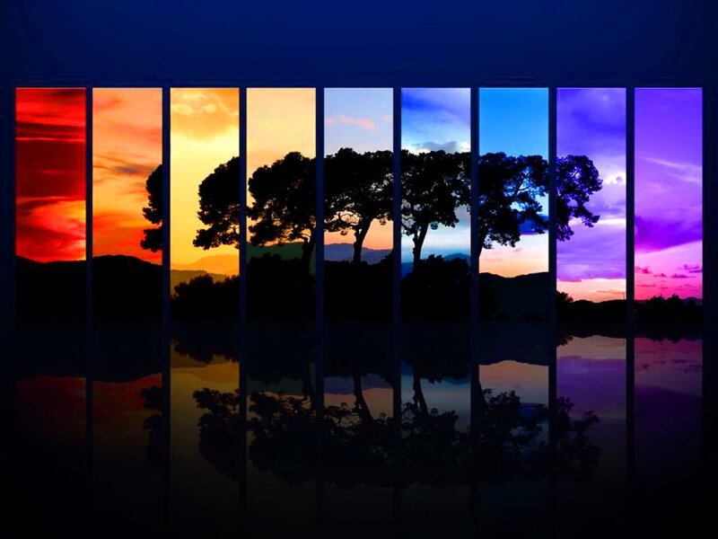 Silhouetted Trees at Sunset — Purple, Serene, Photograph