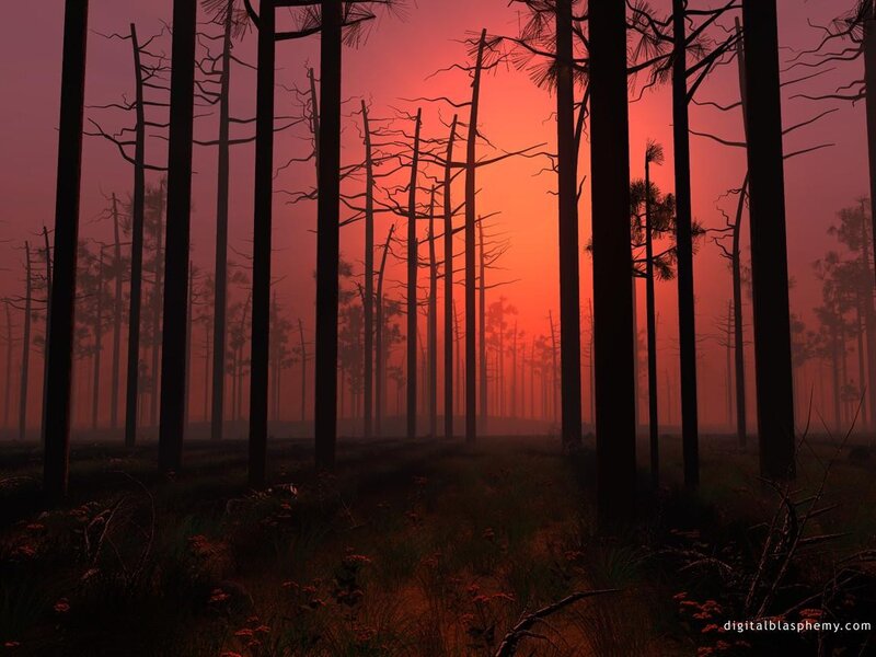 Silhouetted Trees at Sunset — Red, Dramatic, Digital Art, Forest