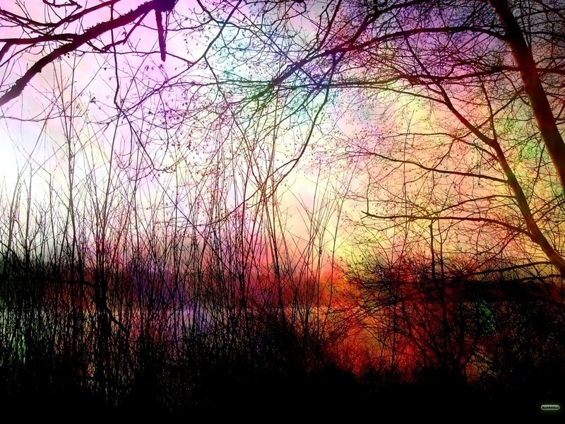 Silhouetted Trees at Sunset — Red, Dramatic, Digital Art