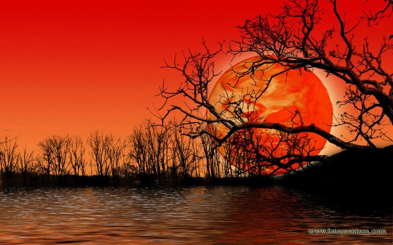 Silhouetted Trees at Sunset — Red, Dramatic, Digital Art, Tree