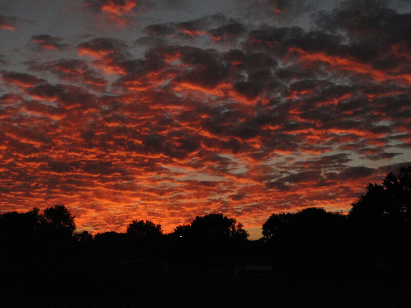 Silhouetted Trees at Sunset — Red, Dramatic, Photograph, Clouds, Sky