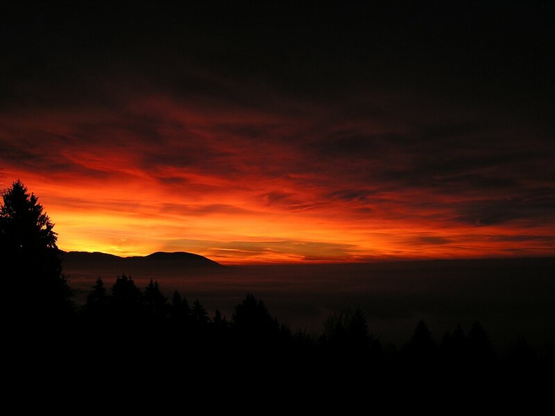 Silhouetted Trees at Sunset — Red, Dramatic, Photograph, Mountain