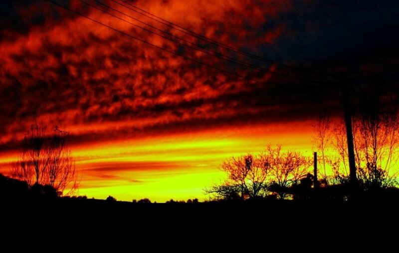 Silhouetted Trees at Sunset — Red, Dramatic, Photograph, Power Lines