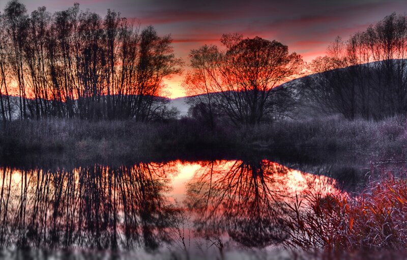Silhouetted Trees at Sunset — Red, Dramatic, Photograph, River