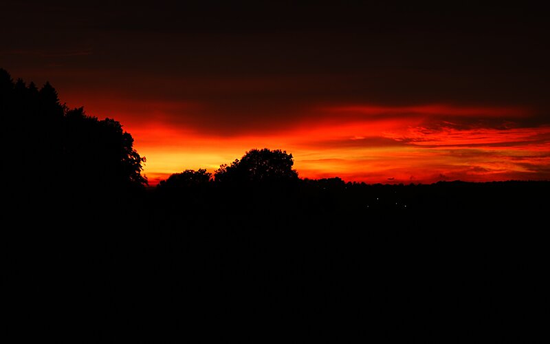 Silhouetted Trees at Sunset — Red, Dramatic, Photograph, Sky, Airplane