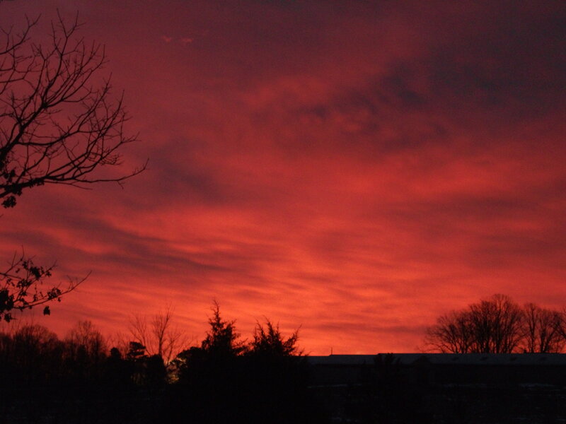 Silhouetted Trees at Sunset — Red, Dramatic, Photograph, Sky, Building, Orange