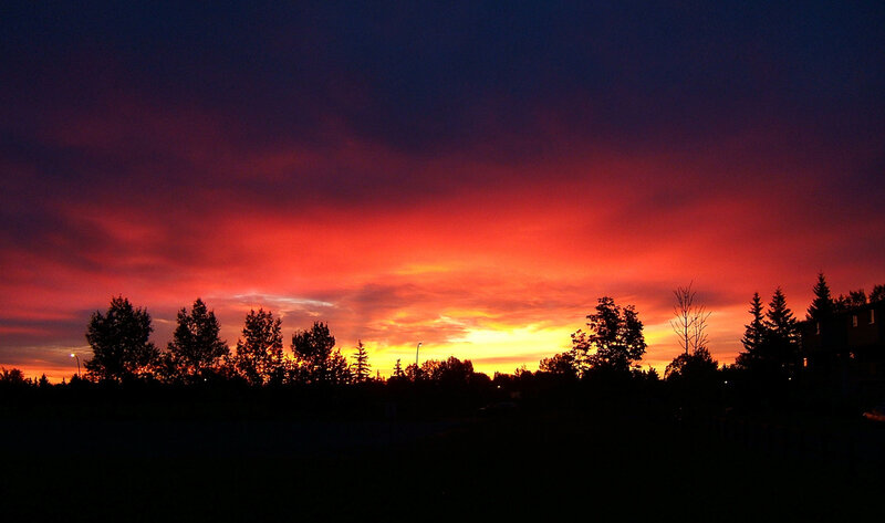 Silhouetted Trees at Sunset — Red, Dramatic, Photograph, Sky, Building