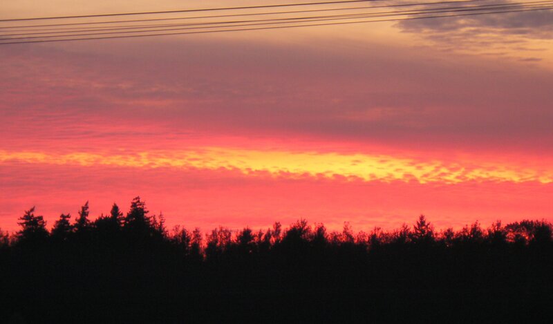 Silhouetted Trees at Sunset — Red, Dramatic, Photograph, Sky, Clouds, Power Lines