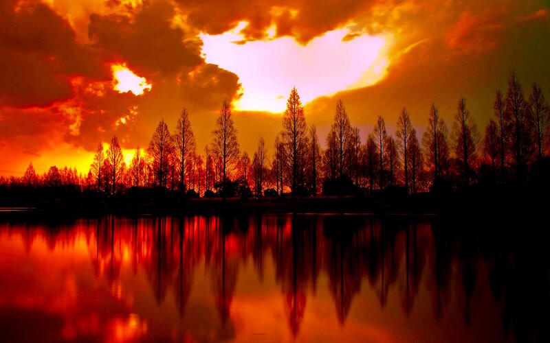 Silhouetted Trees at Sunset — Red, Dramatic, Photograph, Sky, Clouds, Water