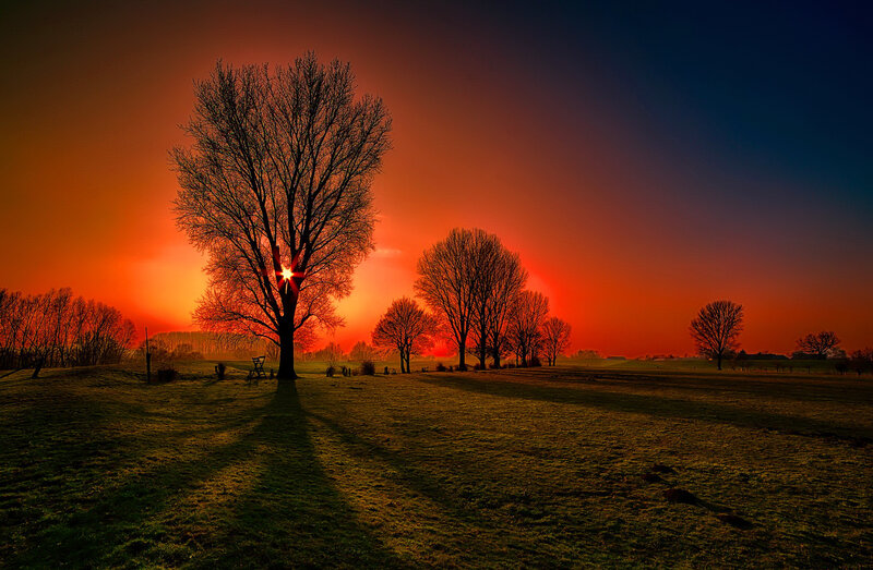 Silhouetted Trees at Sunset — Red, Dramatic, Photograph, Sky, Field
