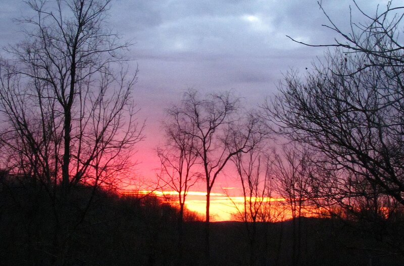 Silhouetted Trees at Sunset — Red, Dramatic, Photograph, Sky, Horizon